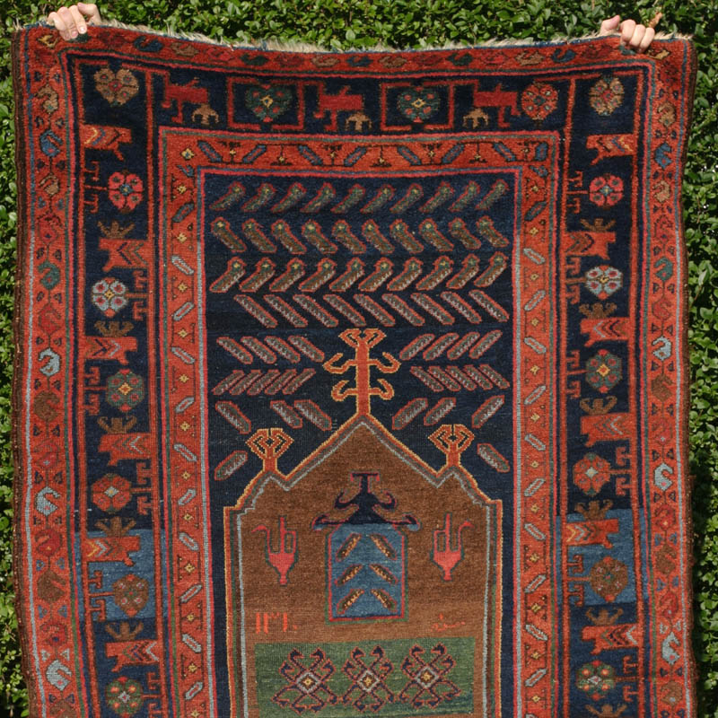 Dated kolyai Kurdish rug - top half