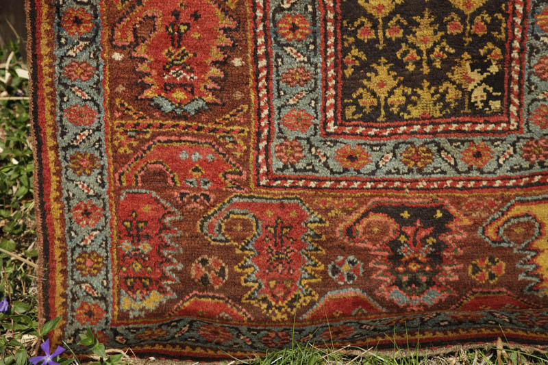 kurdish rug with large boteh border - bottom left corner