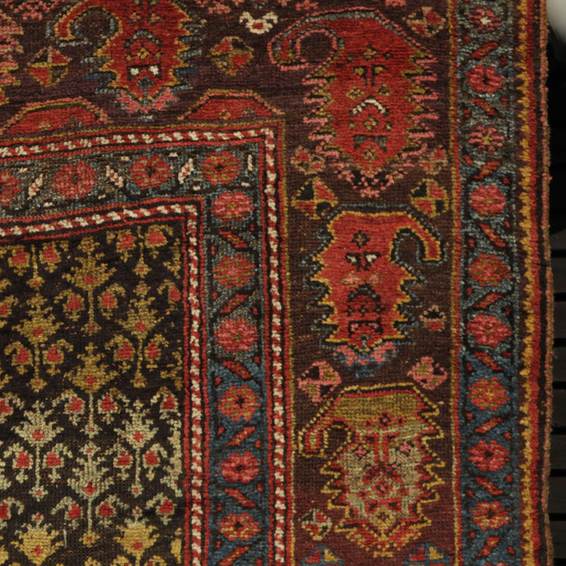kurdish rug with large boteh border - border 1