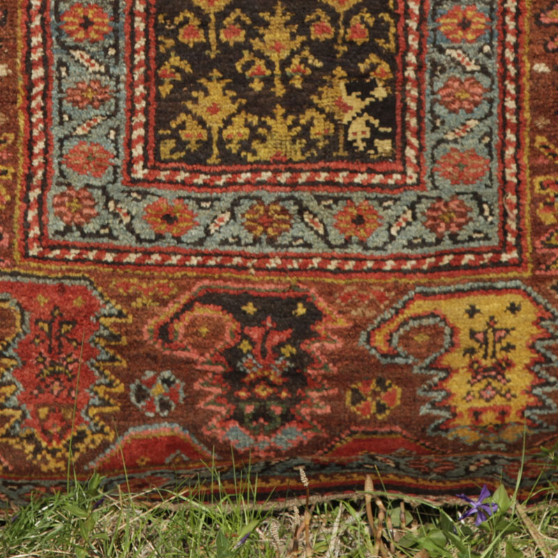 kurdish rug with large boteh border - botehs