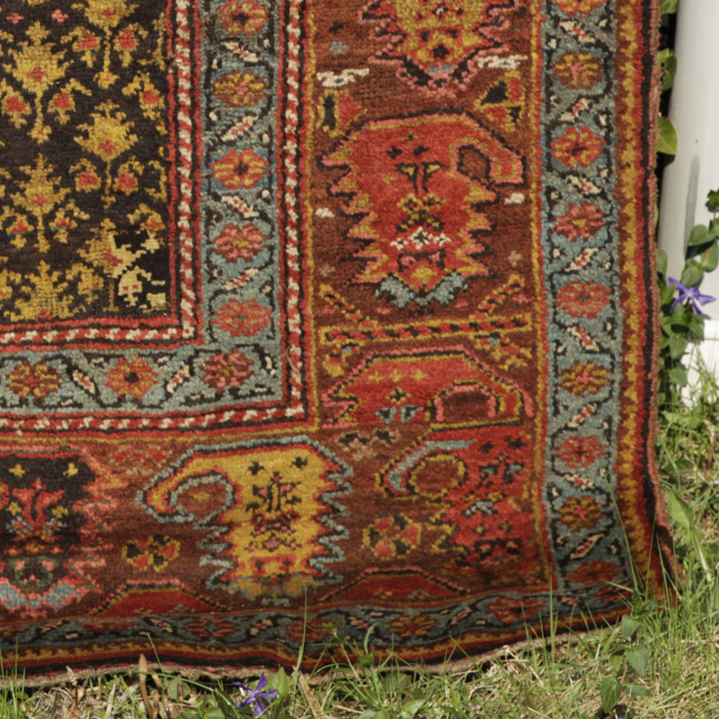 kurdish rug with large boteh border - bottom right