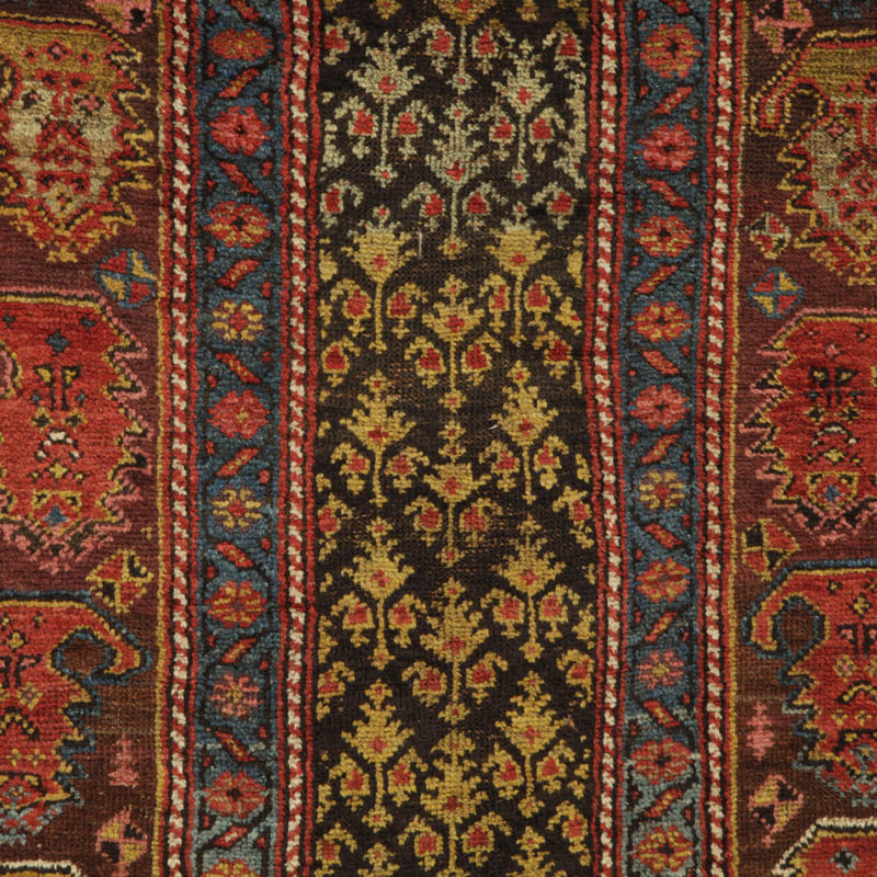 kurdish rug with large boteh border - field section