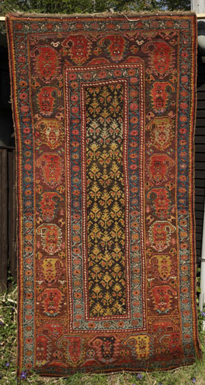 Kurdish rug with wide boteh border - opens jpg in same window