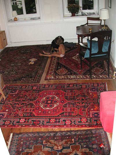 new layout of rugs on the same floor
